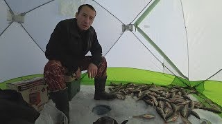 Рыбалка на шакше в ноябре 2020