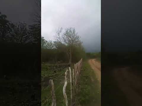Tempo bonito pra chove na zona rural de Tejuçuoca CE 28/02/2026