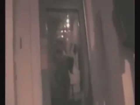 Jay Sean, Thara & Ty (Ty is their dog)