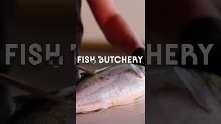 Fish Butchery by Josh Niland | Out Aug 30th | Promo video