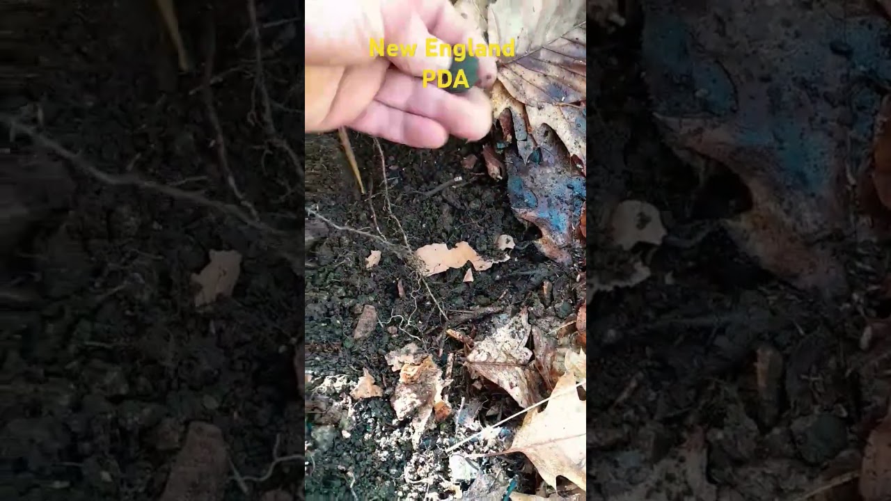 button land still giving buttons #metaldetecting #treasuresearch #upnorthsaturdaynightdigs