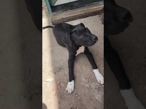 Vídeo de Sem nome