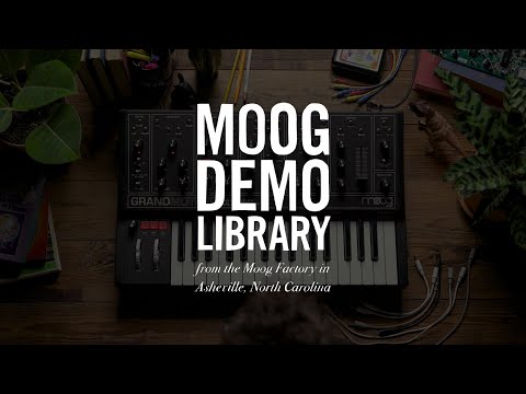 Moog Grandmother Dark Semi-Modular Analog Synthesizer, All Black image 4