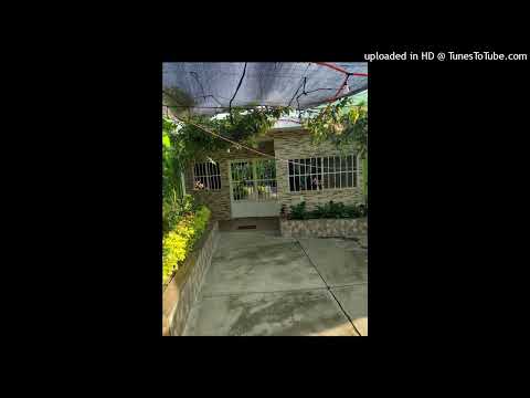 LA JUNGLA TROPICAL DE ARCELIA GUERRERO