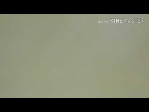 رأي بنزع شهد عماد للحجاب // Bouchra flower😊