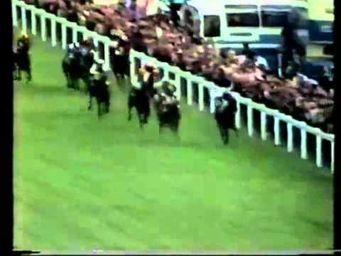 Grundy- The 1975 Epsom Derby (Epsom Downs)