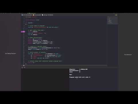 Debugging in Xcode: Breakpoints and monitoring variables.