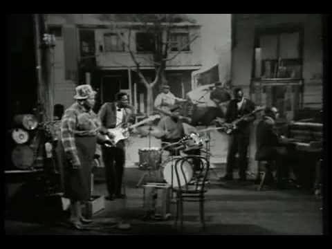 Big Mama Thornton ft. Buddy Guy - Hound Dog