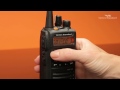 Видеообзор Vertex EVX-531