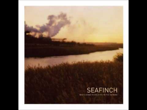 Seafinch - I've Got to Make Things Right