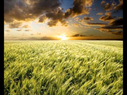 Needle Drop (Original) - Route 213