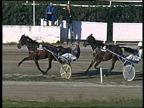 Trotto 22/12/2015 - 2° corsa