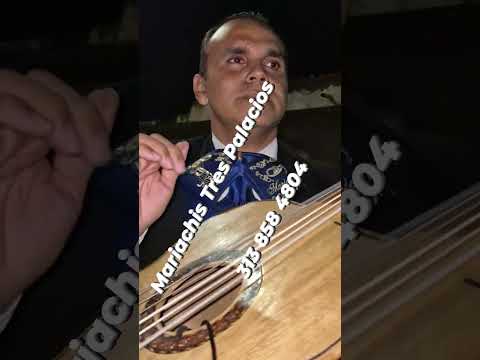 mariachis en cúcuta norte de Santander Colombia
