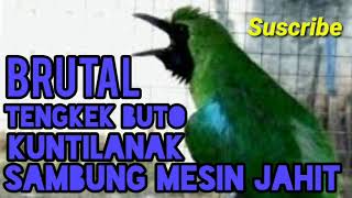 Download lagu KUSUS MILIK CUCAK IJO_ tengkek buto_kuntilanak_ sambung mesin JAHIT mp3