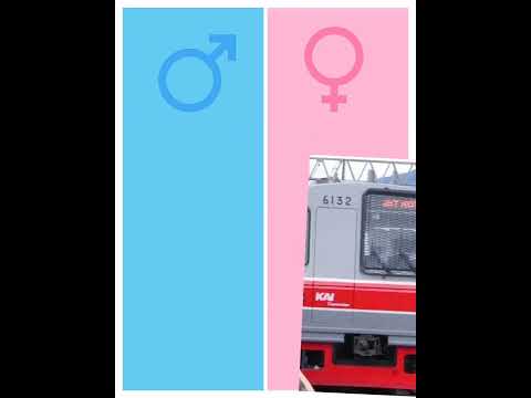 KRL livery KCI dan KRL livery NL versi boy dan girl