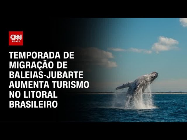 Temporada de baleias-jubarte aumenta turismo no Brasil | CNN PRIME TIME