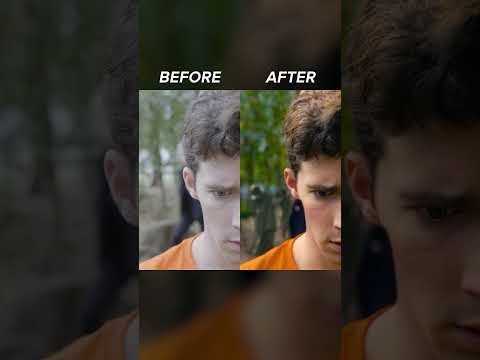 Medusa Lair's - BEFORE & AFTER