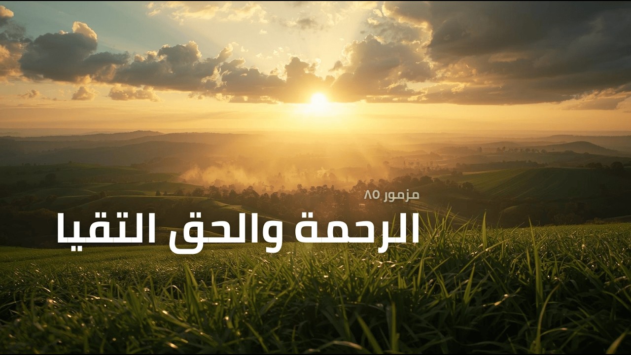 فيديو تفسير الكتاب المقدس | الكتاب المقدس رفيقي