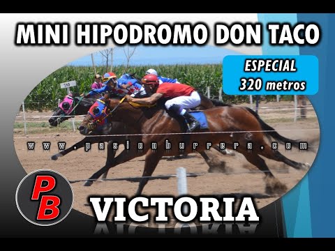 VICTORIA: MINI HIPODROMO DON TACO - LOS CERRILLOS (11-12-2022)