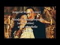 Phantom Of The Opera Angel Of Music Cover By Natalie Lusitana Soprano And Futurebelle