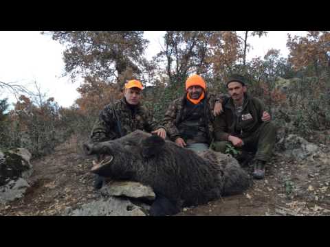 Turkiet Drevjakt på Vildsvin med Diana Jaktresor