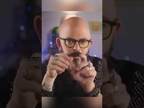 How to STOP cat fights! 🙀 #cats #cat #catbehavior