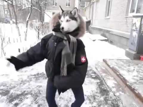 Лучшее 2 секундное видео в сети