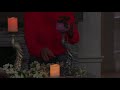 Home Reflections Peacock Holder W Flameless Candle On QVC