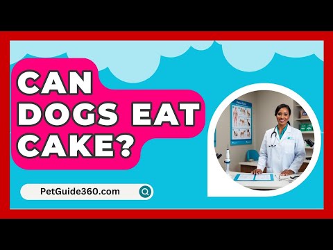 Can Dogs Eat Cake? - PetGuide360.com