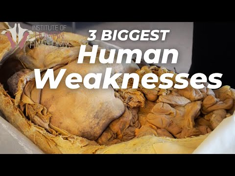 , title : '3 BIGGEST Weaknesses of the Human Body'