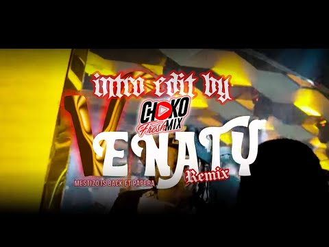 Mestizo Is Back, Pap3ra, SrJ23 - Venaty Remix Intro 118 Bpm Edit By @Chokofreshmix