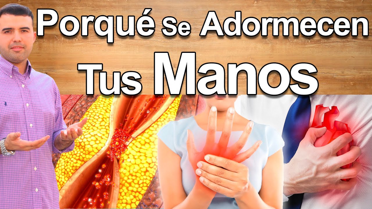 Porqué Se Adormecen Las Manos - Causas y Soluciones Para El Adormecimiento y Hormigueo de Manos