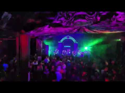 kala forestdelic Halloween in Geneva. Big thanks to Liquid dimensions for this massive event.