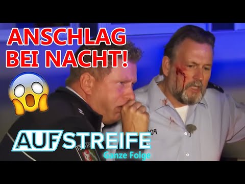 Gefährlicher Angriff bei Nacht: Überfall auf Polizeiwache! | Auf Streife-Ganze Folge | SAT.1