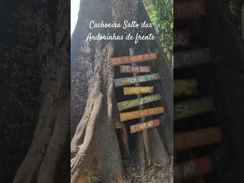 Cachoeira Salto das Andorinhas #matogrosso #paisagemnatural #videoviral #natureza