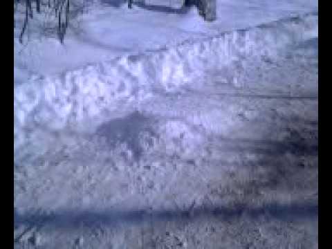 la sanie by CATALIN(din ipatele)