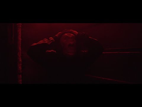 MaxKolo - Tai-Pan (prod. Lxsnivk) Video
