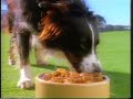 Tyne Tees Advert Break May 12 1995
