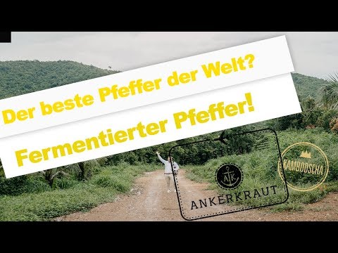 The Taste of Ankerkraut | Kambodscha | Fermentierter Pfeffer aus Kambodscha!