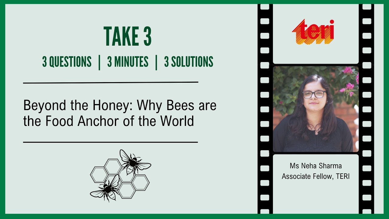 TAKE 3: Beyond the Honey: Why Bees are the Food Anchor of the World