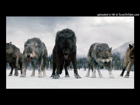 Kontra K x Azad x Capital Bra x Samra x Savas x Sido - Wolfsblut (Ronin Remix)