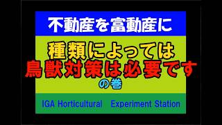 ネットで土地を買ってみた 負動産を富動産に⑯ 鳥獣対策は必要だったの巻き