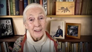 Every day you live, you impact the planet | Jane Goodall