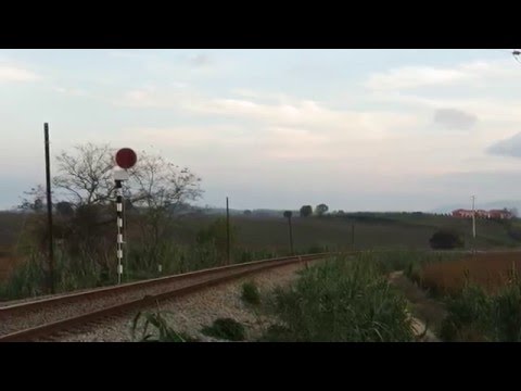 CP 1962 | 51631 | Bombarral