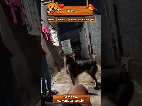 Vídeo de " laila"