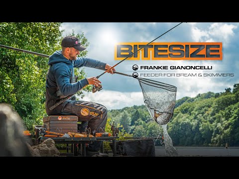 Bream Feeder Fishing Tips | Guru Bitesize #028