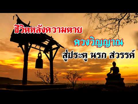 คนที่มีจู๋เล็ก วิธีการลดความดันโลหิตและเพิ่มความแข็งแรง