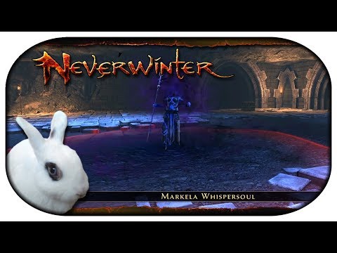 NEVERWINTER: Paladin-LP 🐇 38 - Jetzt ist das Kaninchen wütend!