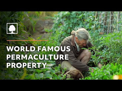 World Famous Permaculture Property Tour | David Holmgren and Su Dennett's Melliodora