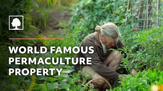 World Famous Permaculture Property Tour – David Holmgren and Su Dennett's Melliodora